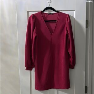 Sheath Dress with Long Bishop Sleeves